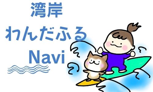 湾岸ワンダフルNavi